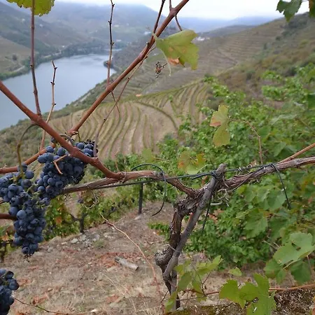 Quinta Da Veiga Covas do Douro