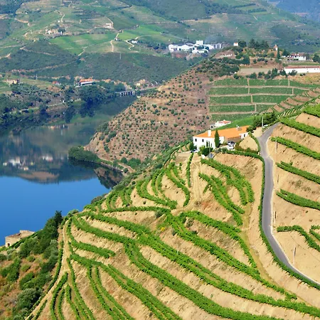 Quinta Da Veiga B&B 코바스도두오로