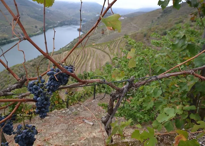 Quinta Da Veiga Covas do Douro