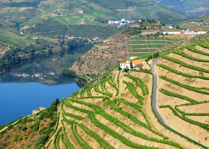Quinta Da Veiga Bed & Breakfast Covas do Douro