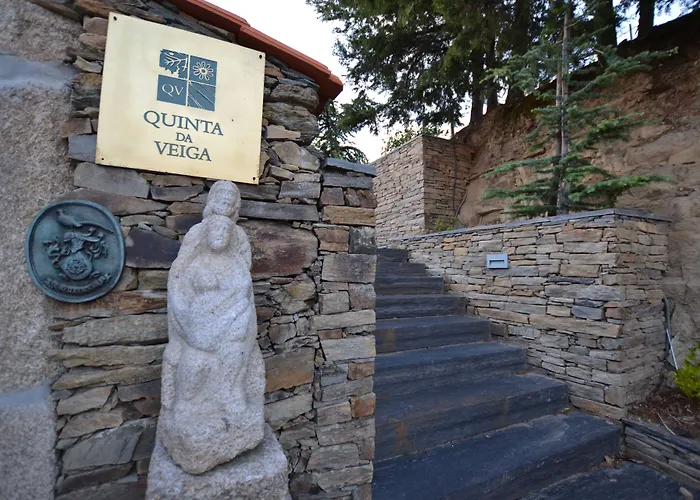 Quinta Da Veiga Bed & Breakfast Covas do Douro